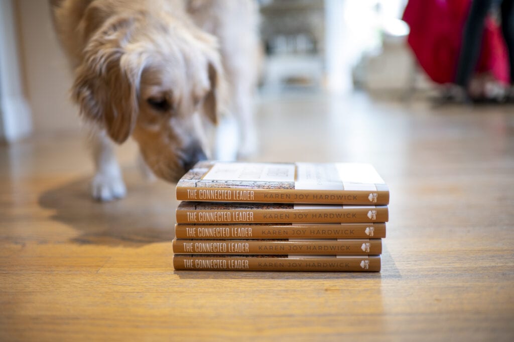 Dixie, a golden retriever, sniffing The Connected Leader book