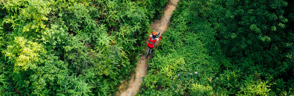 Aerial view of cross country biking woman cyclist riding mountain bike on tropical rainforest trail